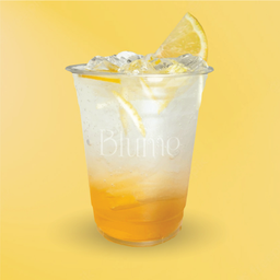 Honey Lemon Soda