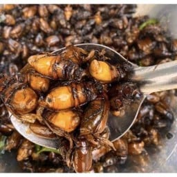 MTแมลงทอด