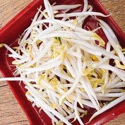 ถั่วงอก