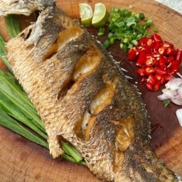 อาหารตามสั่งหน้าการไฟฟ้า