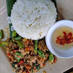 ผัดกะเพราราดข้าว