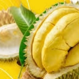 ทุเรียนแม่ปู