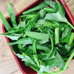 ผักบุ้ง