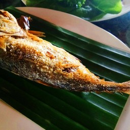 ปลาทูทอด (ตัวละ)