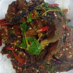 ผัดเผ็ดปลาดุก ราดข้าว