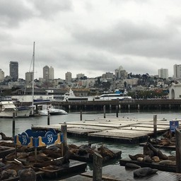 Pier 39