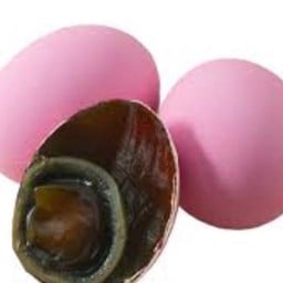 ไข่เยี่ยวม้า