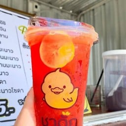 ชาดั๊ก สาขานาเหนือ