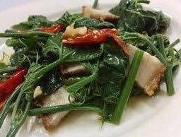 ฟักแม้วหมูกรอบ