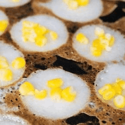 ร้านขนมครก ยายทองคำ เฟื่องฟ้า 9