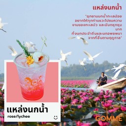 Bird Haven - Rose & Lychee Sparkling Soda