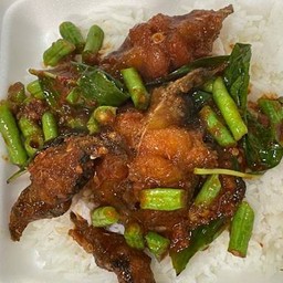 ผัดพริกแกงปลาดุกราดข้าว