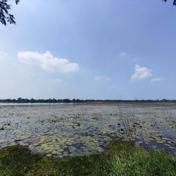 อุทยานกบินทร์บุรีเฉลิมราชย์