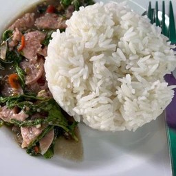 กะเพรา แหนม