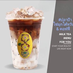 ชานม ซอสบราว