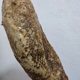 หัวน้ำหวานฉ่ำๆ