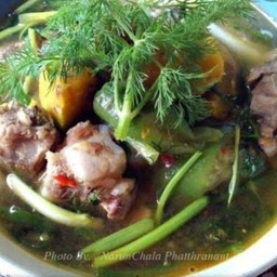 อ่อมกระดูกอ่อน