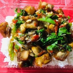 ข้าวราดผัดกระเพราหมูกรอบ