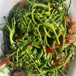 กระเฉดหมูกรอบ