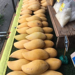 มะม่วง 3 ลูก