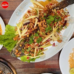 ปลากระพงลุยสวน (ปลา8 ขีด)