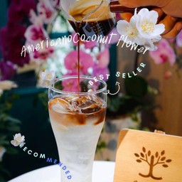 Americano Coconut Flower