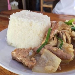 ข้าวหมูผัดน้ำมันหอย
