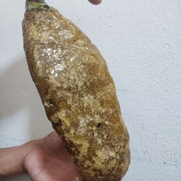 หัวน้ำหวาน (2)