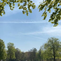 Het Park