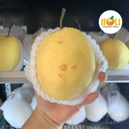 สาลี่น้ำผึ้ง