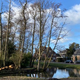 Kralingen