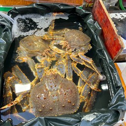 Huangsha Fish Supermarket 黄沙水产交易市场