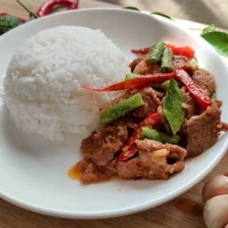 ข้าวราดผัดพริกแกงเนื้อ