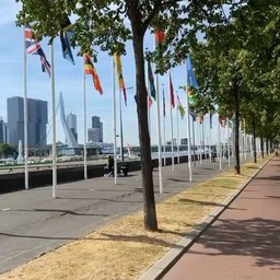 Vlaggenparade Rotterdam
