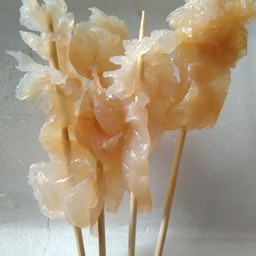 แมงกะพรุน