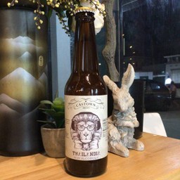 ไทยแลนเดีย โซดาคราฟต์