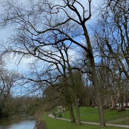 Buiten Boeverievest