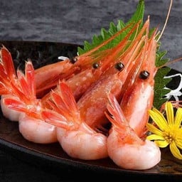 กุ้งหวาน ซาซิมิ