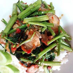 ผัดผักบุ้งหมูกรอบแถมไข่ดาว