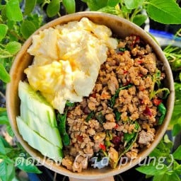 ติดปรุง (กระเพรา-ไข่ข้น)