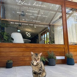 น้องกล้วย