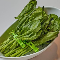 B206 ผักกวางตุ้งมังกร (หนีบ)