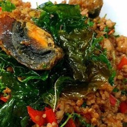 ข้าว+กะเพราไข่เยี่ยวม้าใบกระเพรากรอบหมู,ไก่