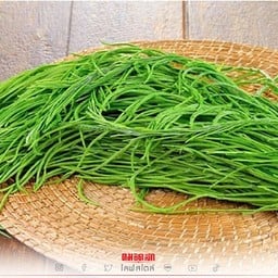 ชูใจไข่เจียว (ไข่เจียวทรงเครื่องฟิวชั่น)