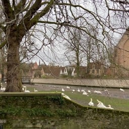 Beguinage Ten Wijngaerde
