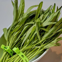 B201 ผักบุ้งจีน (หนีบ)