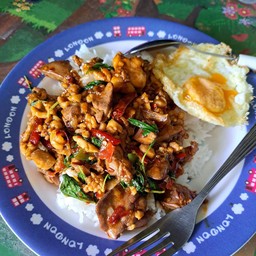 แม่ชมกะเพราหอม