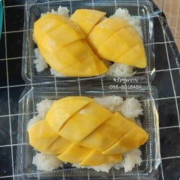 เป่า ฟู่