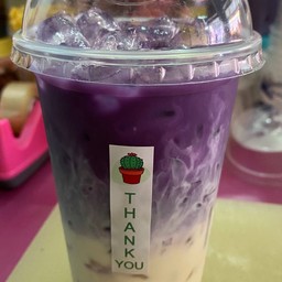 เผือกนมสด