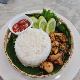 ข้าวกะเพราไก่